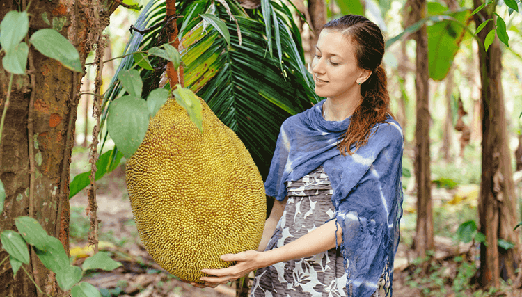 medium_web_mujer_jackfruit_e705cc55fe